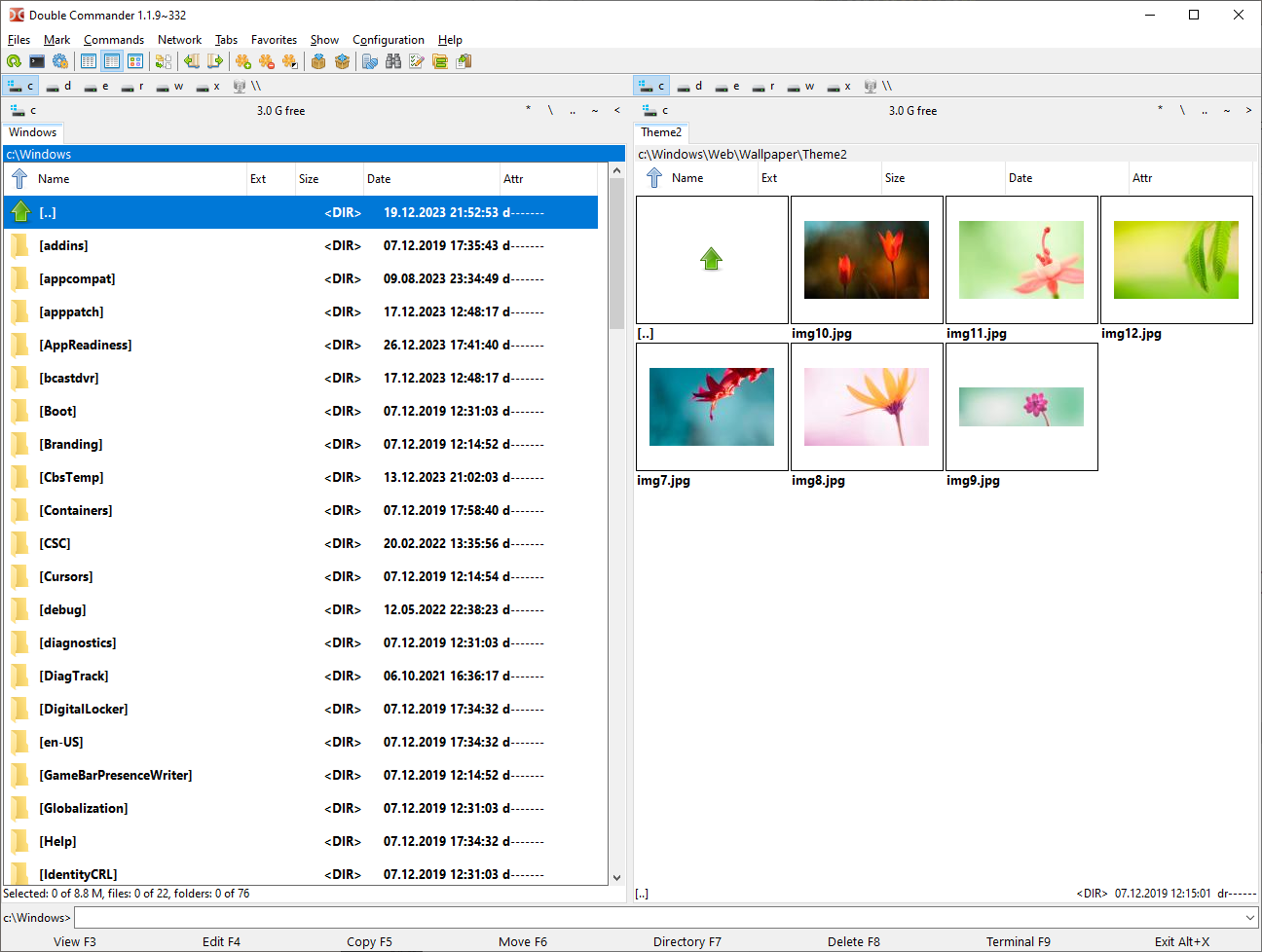 Double Commander main window with dual-pane file browser on Windows