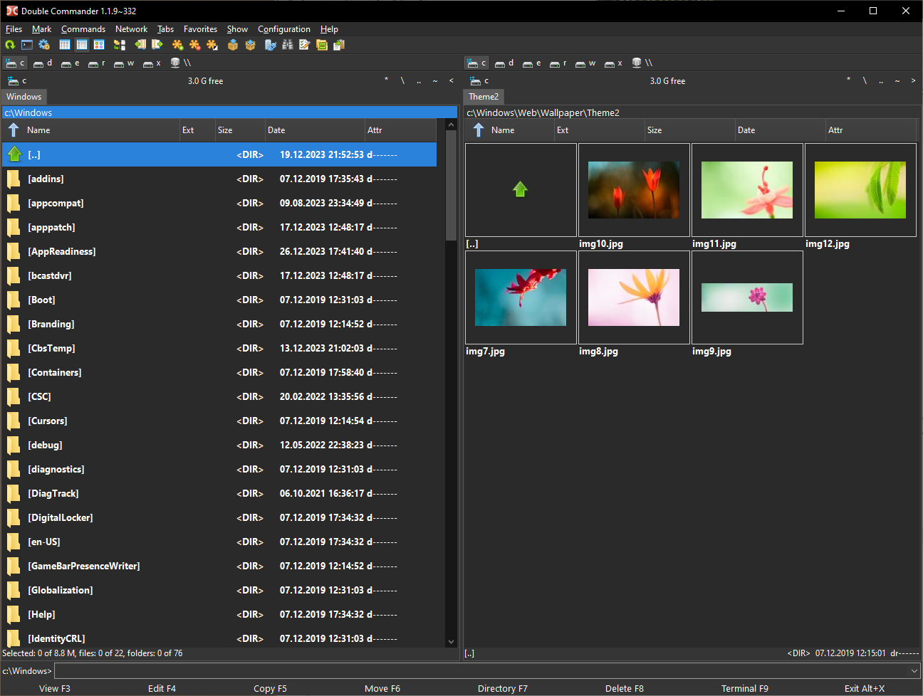 Double Commander dark theme interface